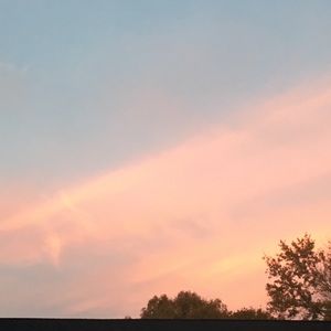 Meet your Posher, Lilly